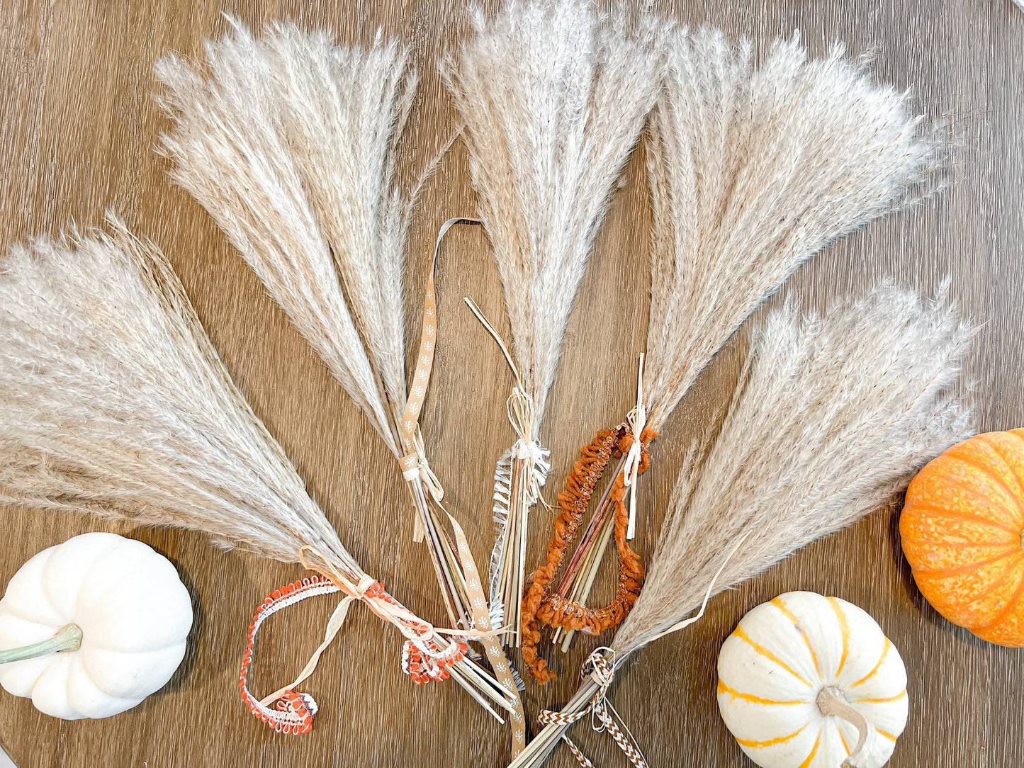 Dried Reed Grass Bundle, Fluffy Dried Flowers, Neutral Boho Home Decor, Modern Farmhouse, 10 stems, Natural