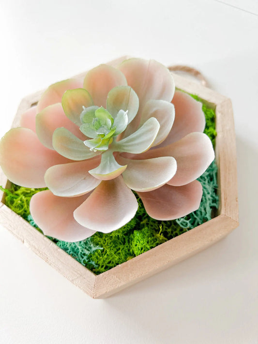 Hexagon Moss Wall Art, 5"x6" - Withered Whimsy Home Decor