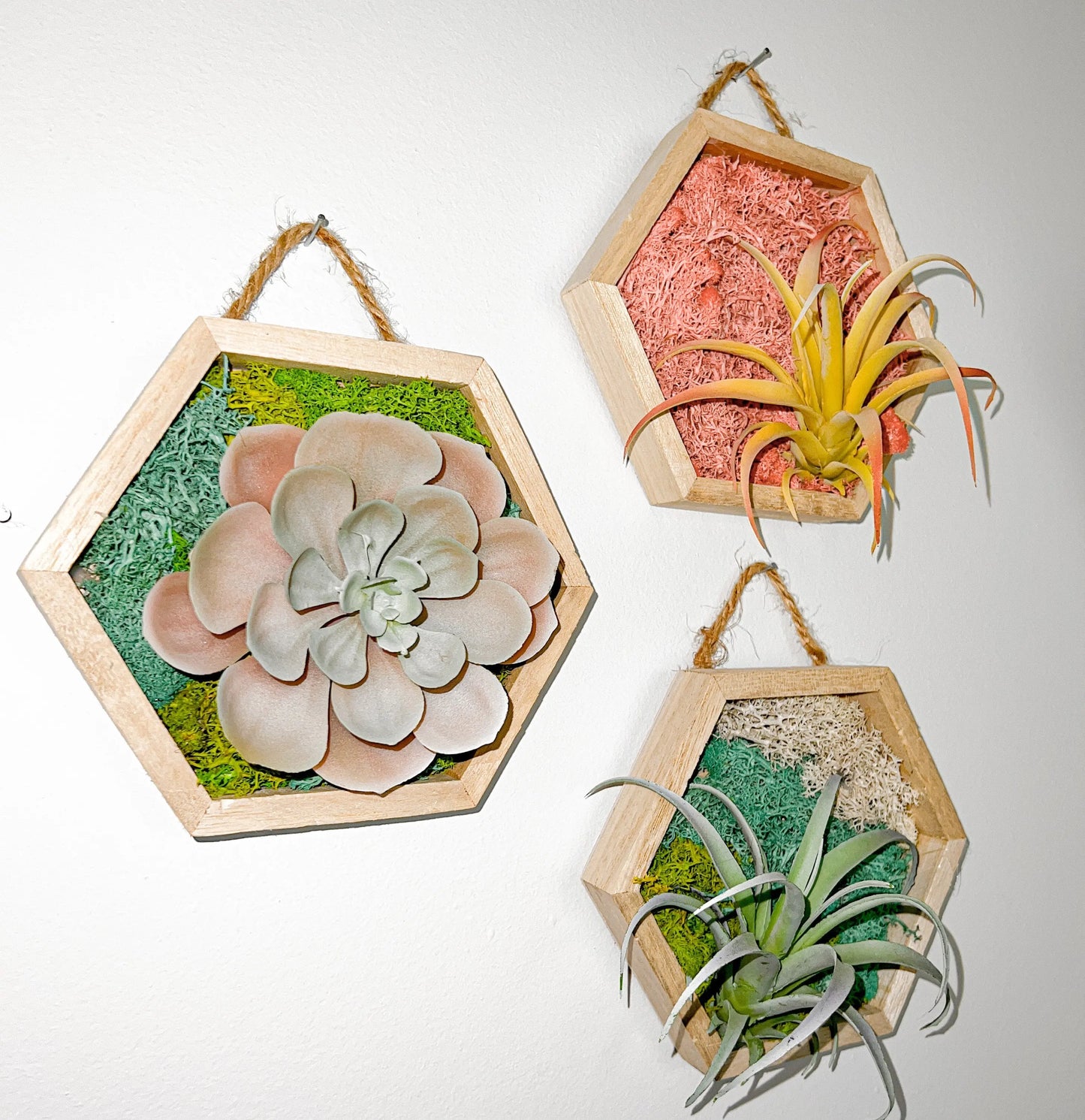 Hexagon Moss Wall Art, 5"x6" - Withered Whimsy Home Decor