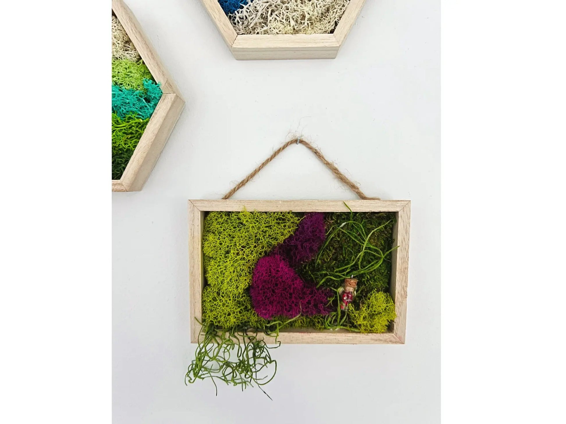 Moss Wall Art,  5"x6" - Withered Whimsy Home Decor