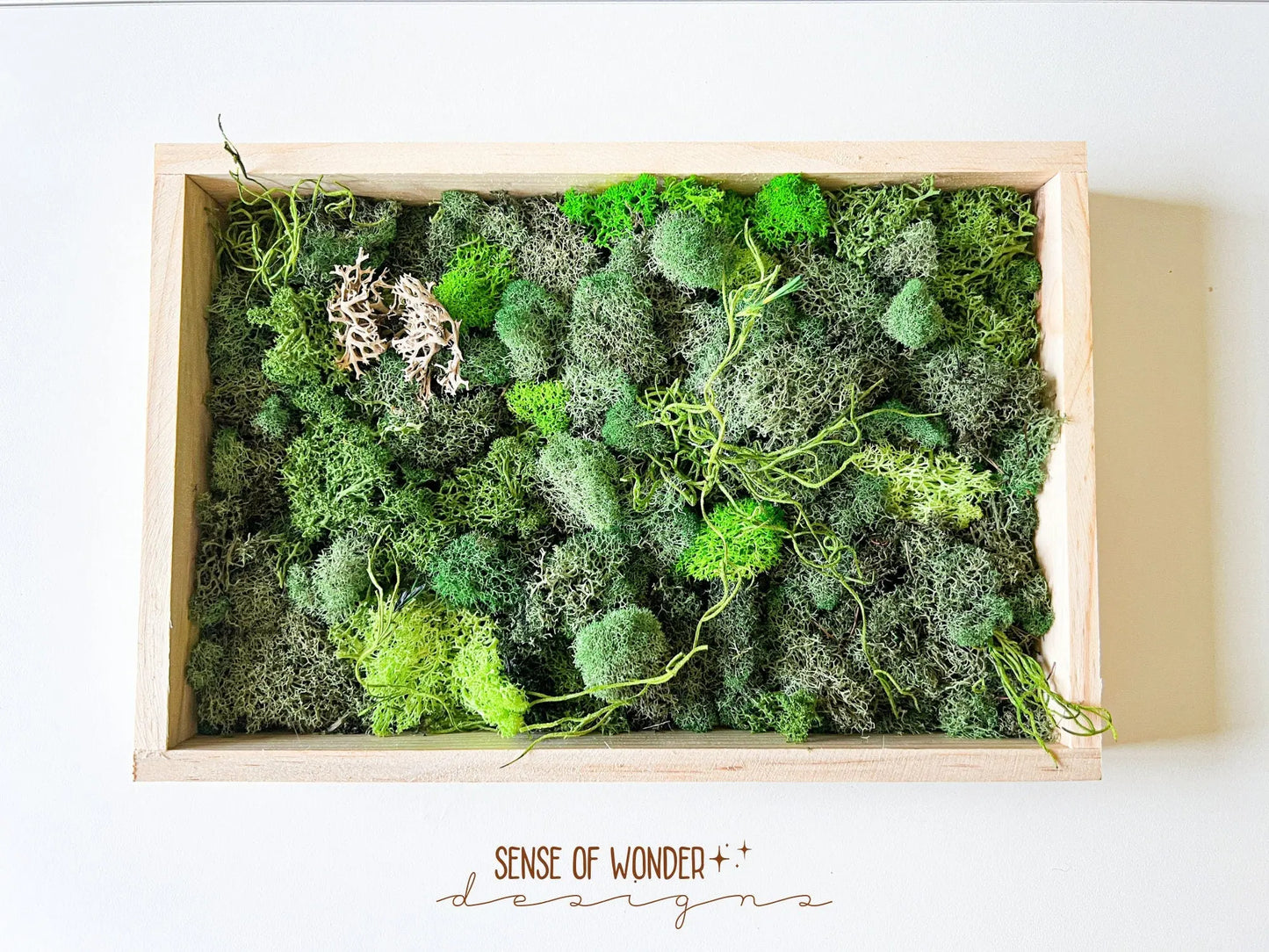 Moss Wall Art, 12"x8" - Withered Whimsy Home Decor