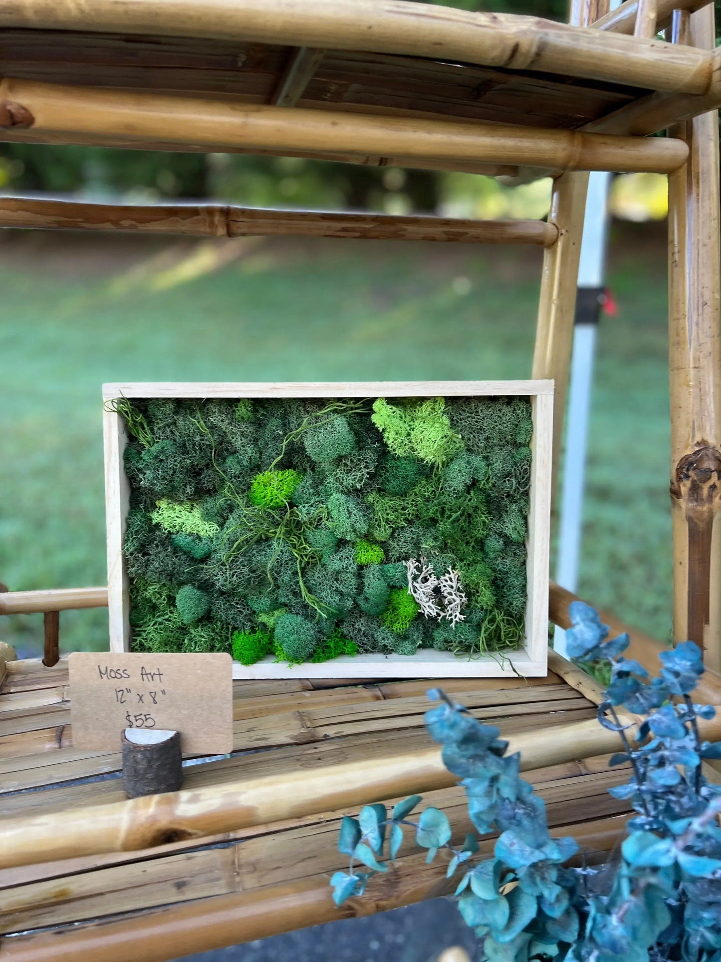 Moss Wall Art, 12"x8" - Withered Whimsy Home Decor