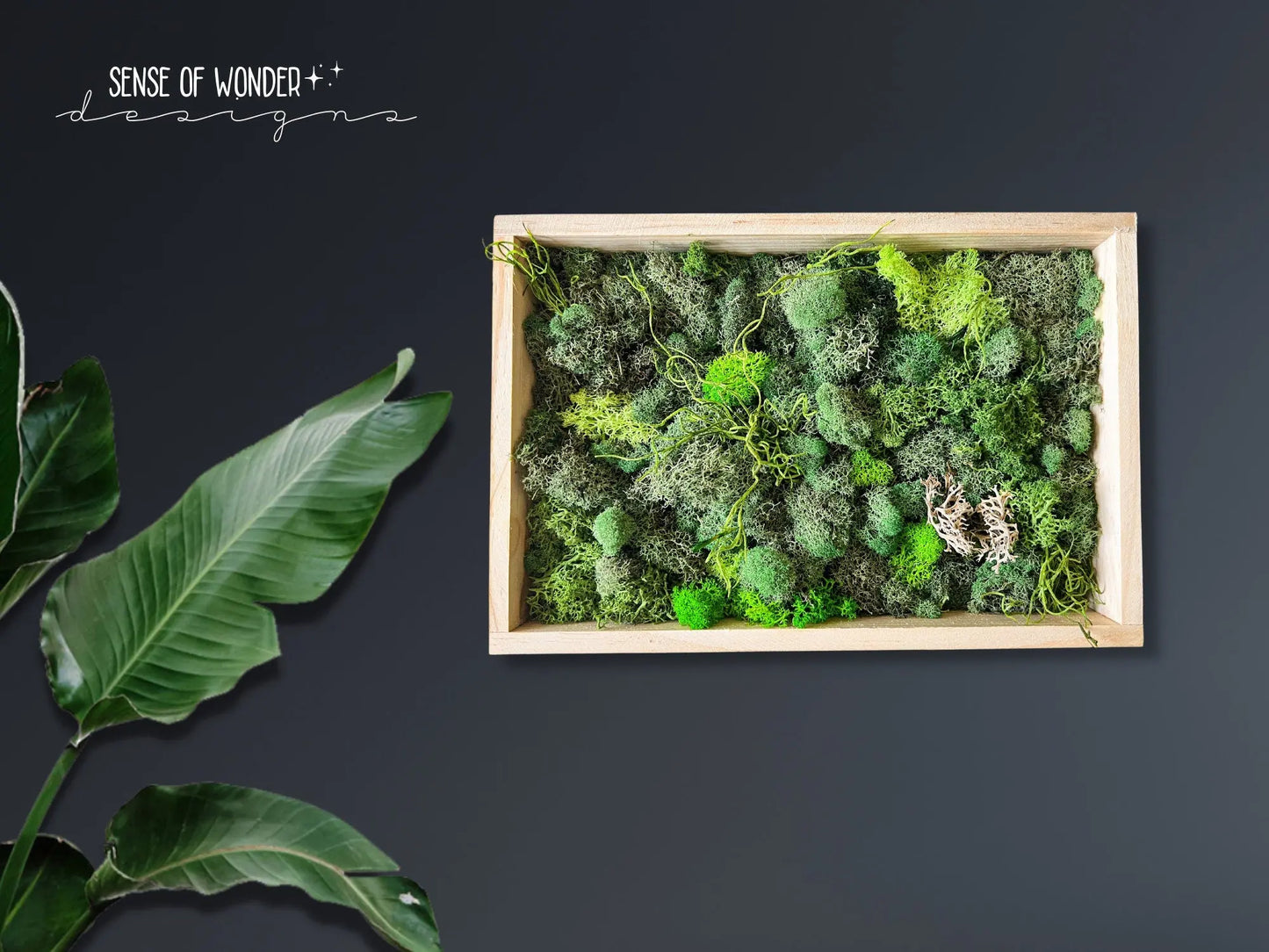 Moss Wall Art, 12"x8" - Withered Whimsy Home Decor