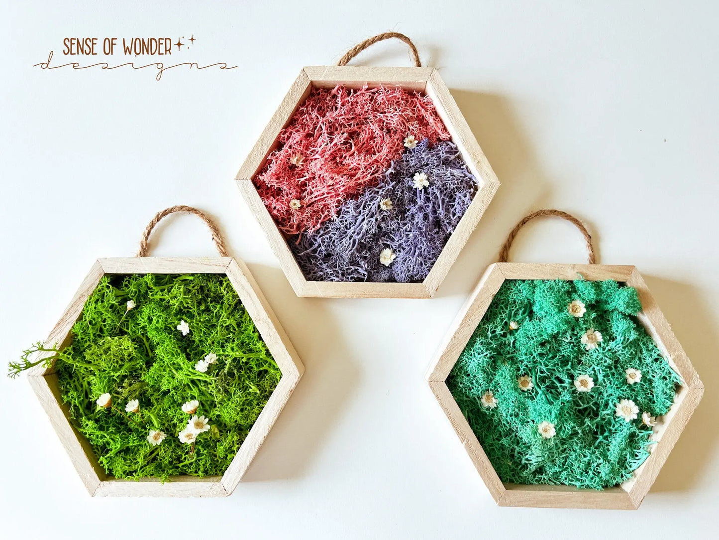 Moss Wall Art, 5"x6" - Withered Whimsy Home Decor