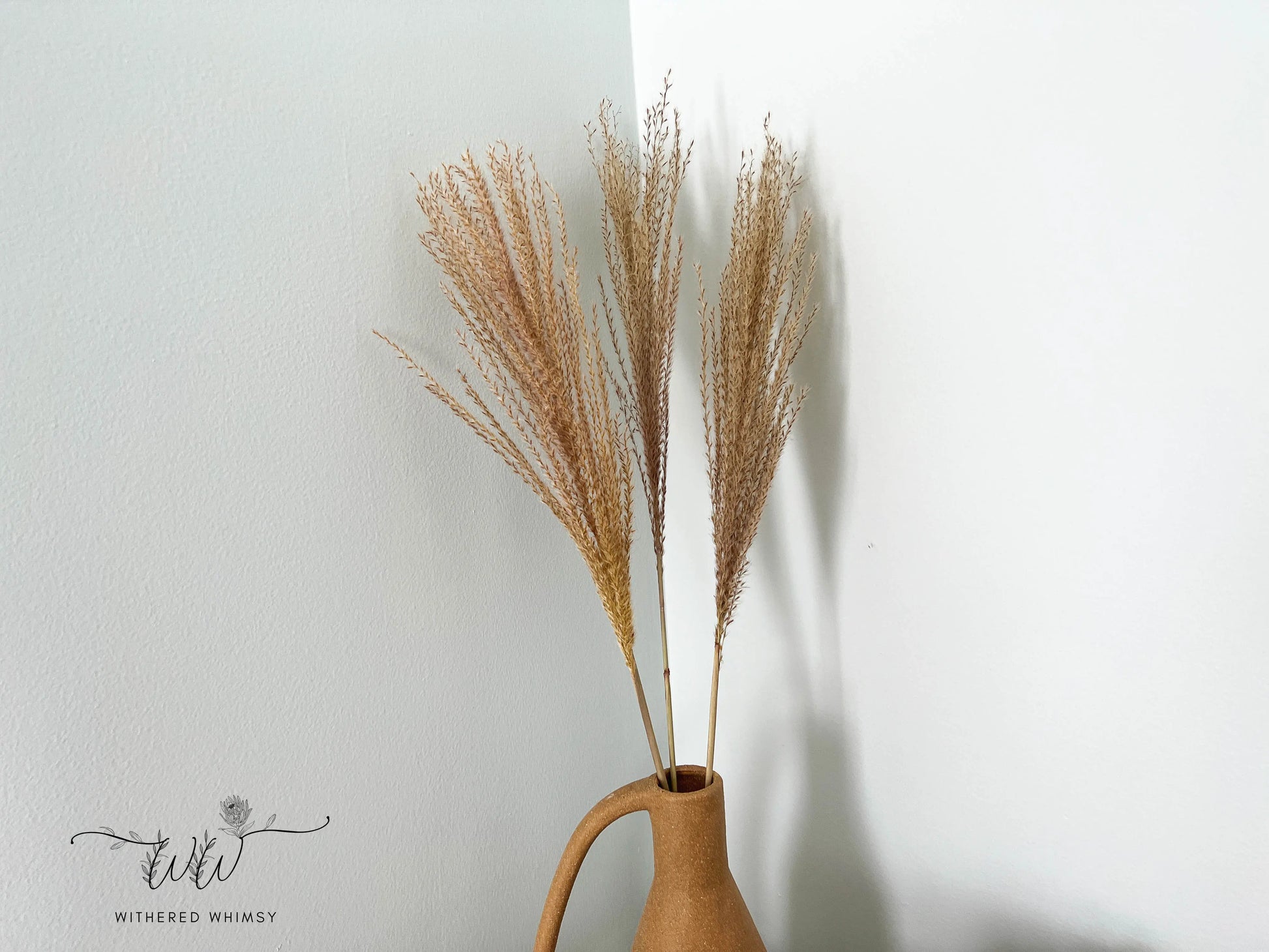 Reed Grass (Small) - Natural - Withered Whimsy Reed Grass